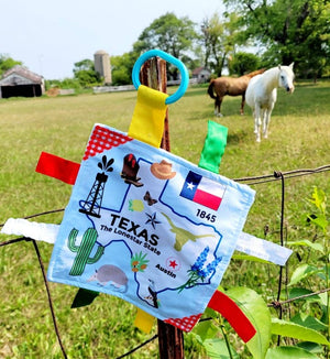Texas State Baby Crinkle Tag Square 8"x 8" Toy - Eden Lifestyle