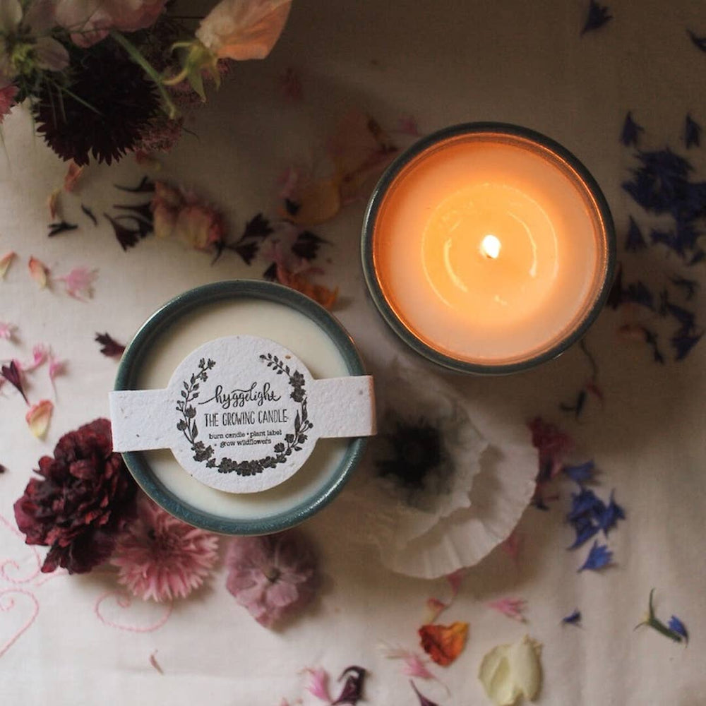Willow | Growing Candle, 10 oz soy, wildflower seed label - Eden Lifestyle