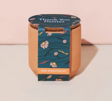 Tiny Terracotta - Thank You Daisies Indoor Garden Kit - Eden Lifestyle