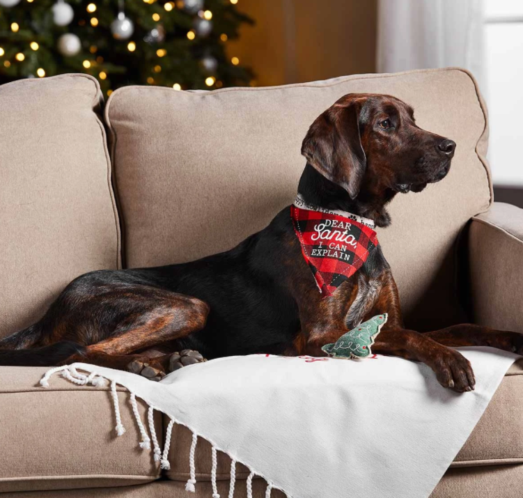 Mud Pie Dear Santa Dog Bandana and Toy Set - Eden Lifestyle