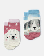 Joules, Accessories - Socks,  Joules Neat Feet Multi Dog Socks