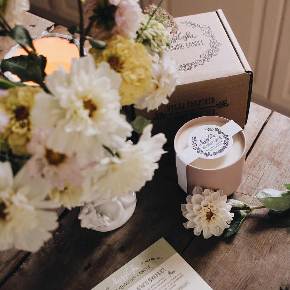 Adelyn | Growing Candle, 8oz soy wax, wildflower seed label - Eden Lifestyle