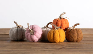 Assorted Felt Pumpkins - Eden Lifestyle