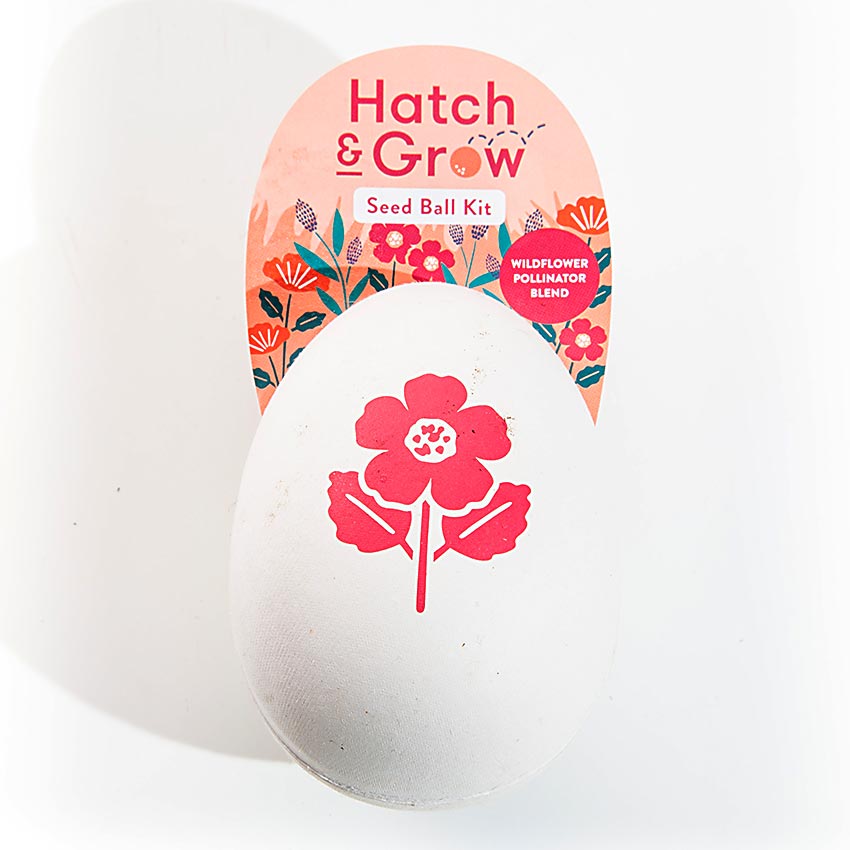 Hatch & Grow Seed Ball Kit - Eden Lifestyle