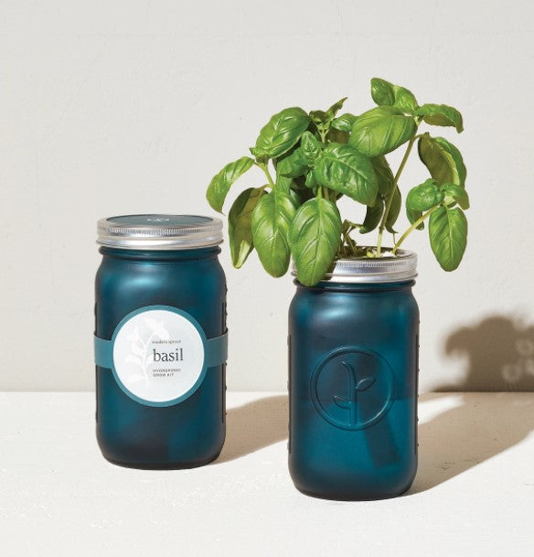 Garden Jars - Basil - Eden Lifestyle