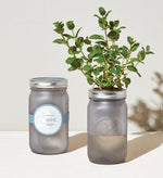 Garden Jars - Mint - Eden Lifestyle