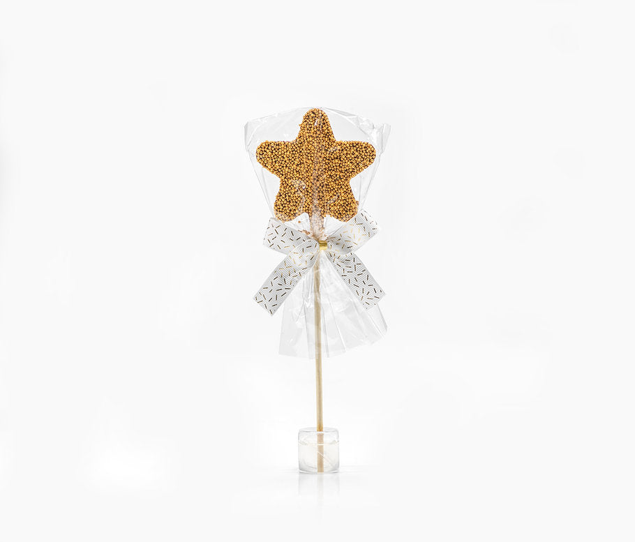 Belgian Chocolate Star Lollipop - Eden Lifestyle