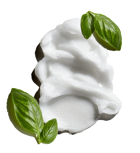 Jack Black Nourishing Hair and Scalp Conditioner with Tea Tree Oil & Basil Leaf - Eden Lifestyle