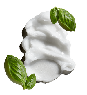Jack Black Nourishing Hair and Scalp Conditioner with Tea Tree Oil & Basil Leaf - Eden Lifestyle