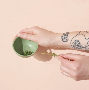 Herb Pull & Pinch Dish - Eden Lifestyle