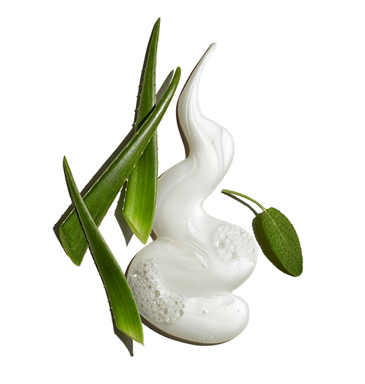 Pure Clean Daily Facial Cleanser - Eden Lifestyle