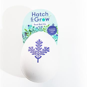 Hatch & Grow Seed Ball Kit - Eden Lifestyle