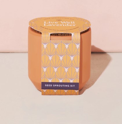 Tiny Terracotta Kit - Live Well Lavender Indoor Garden Kit - Eden Lifestyle
