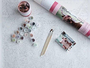Pink Picasso, Gifts - Care Package,  Paint by Numbers Kit - Lucy Longhorn