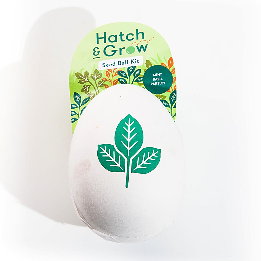 Hatch & Grow Seed Ball Kit - Eden Lifestyle