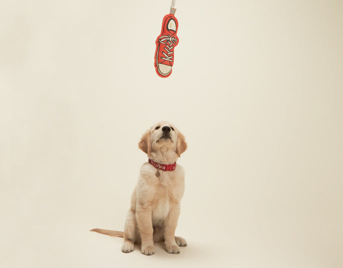 Eden Lifestyle Boutique, Home - Pet,  Sneaker Rope Pet Toy
