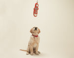 Eden Lifestyle Boutique, Home - Pet,  Sneaker Rope Pet Toy