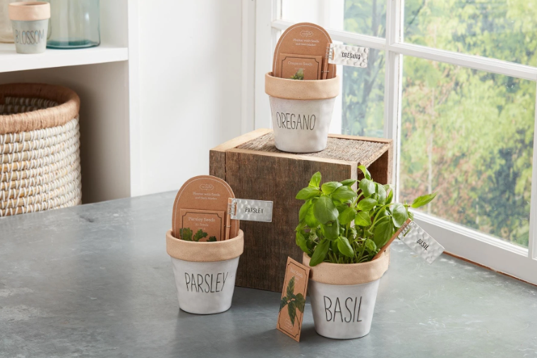 Mud Pie Grow Kit - Eden Lifestyle