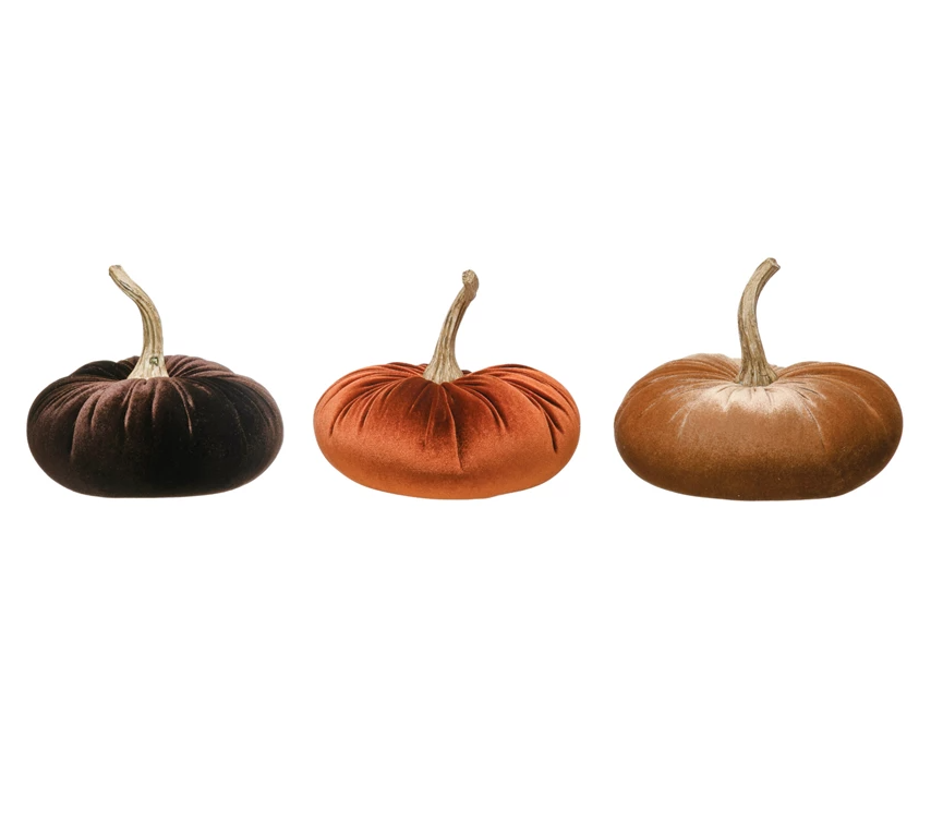 Velvet Pumpkins - Eden Lifestyle