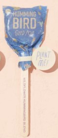 Eden Lifestyle Boutique, Gifts - Kids Misc,  Seed Lollipop - Pollinator