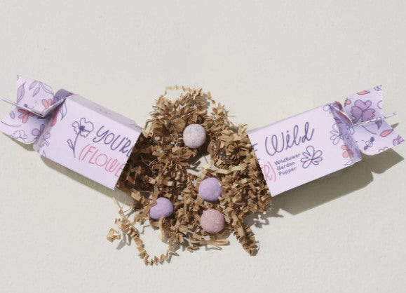 Eden Lifestyle, Gifts - Other,  Seed Popper - Wildflower