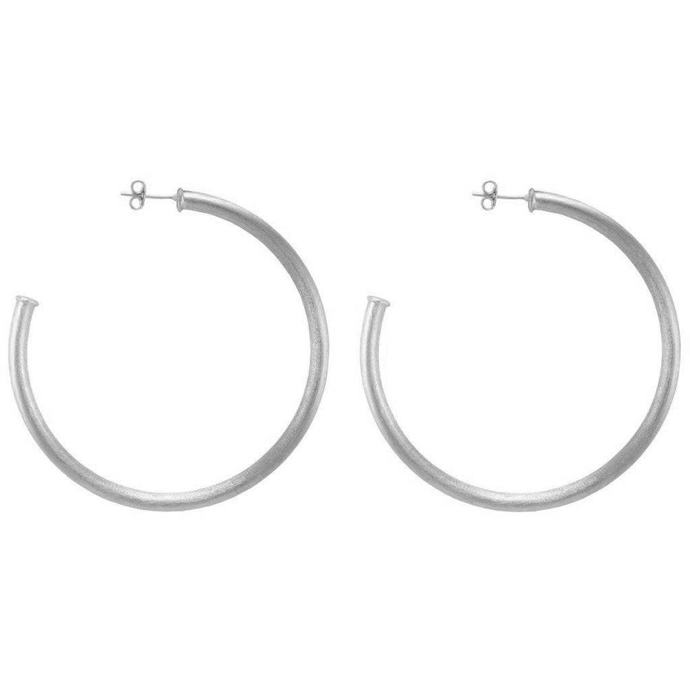 Sheila Fajl, Accessories - Jewelry,  Sheila Fajl - Small Brushed Silver Plated Everybody's Favorite Hoops