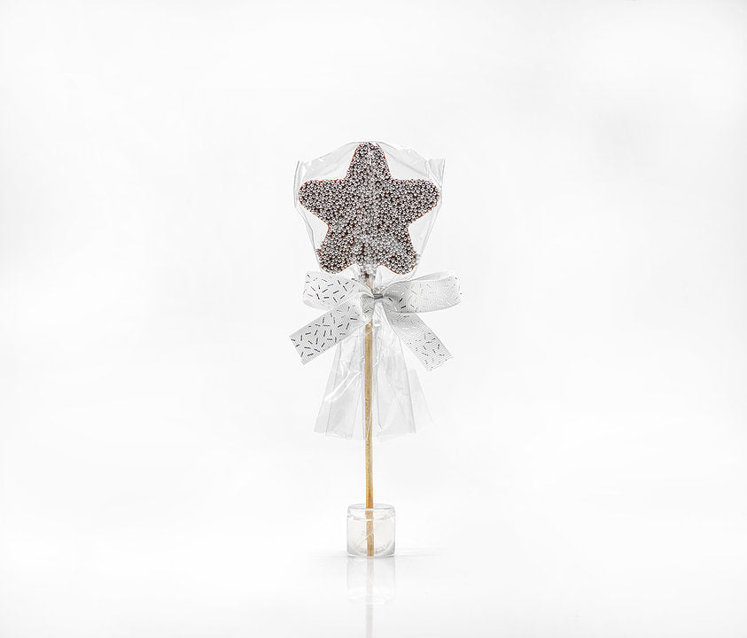 Belgian Chocolate Star Lollipop - Eden Lifestyle