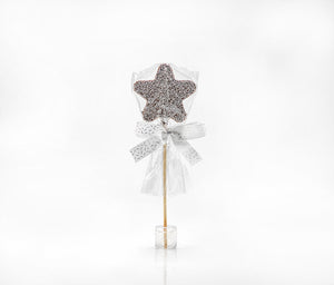 Belgian Chocolate Star Lollipop - Eden Lifestyle