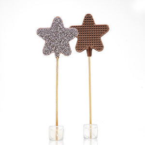 Belgian Chocolate Star Lollipop - Eden Lifestyle
