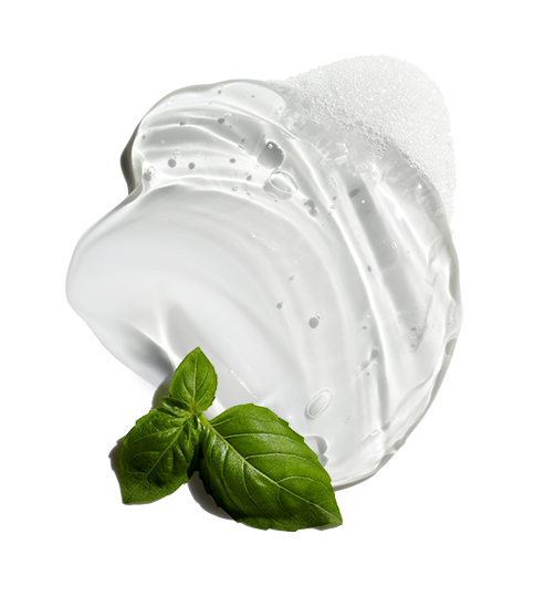 Jack Black True Volume Thickening Shampoo with Expansion Technology, Basil & White Lupine 16oz Bottle - Eden Lifestyle